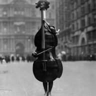 Jazzbasspenguin