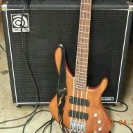 bassplr19