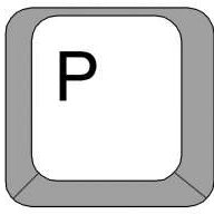 P-key