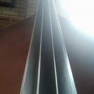 Spruce n' Strings