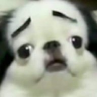 zpoison