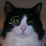 Sherlocat