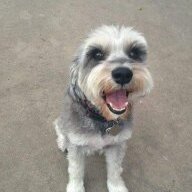 Gashouse