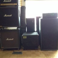 Kingdom bass