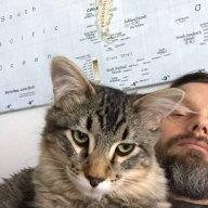 Gigio Toots