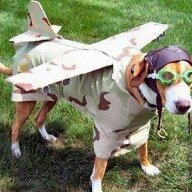 Birddog144
