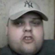 mortvest