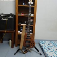 Vuong Bass