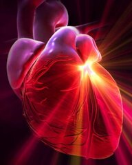 Cardiorrhexis