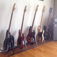 Bassinbassist