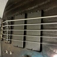 sssludge