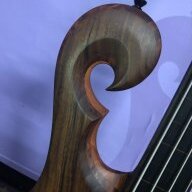 ThorpeCollectCr