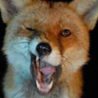foxadn