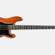 4 Strings Only