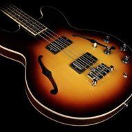 Hollowbody73
