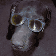 AshokanKid