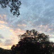 blueskies14