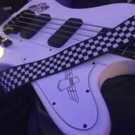 SSBASSCASE
