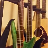 Ryn