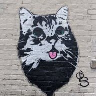 Nick1234