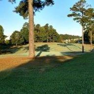 Tee View