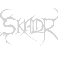 Skaldr_Owl