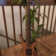 Yearofthebass