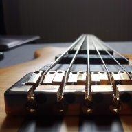Fellow_Bassist