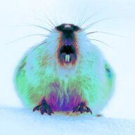 rhouge