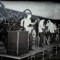 Red Webb