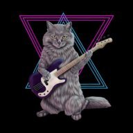 BassCat22