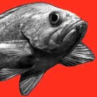 Fishtude