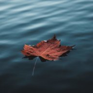 Mark_122