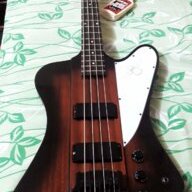 Fabian Bass