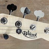 Viv wilcock