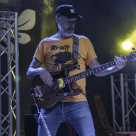 BuhoNevado5