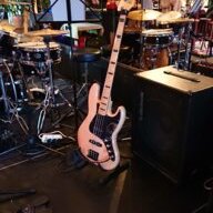 Bas bassist