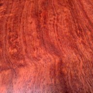 Dense Wood