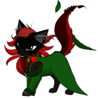 Blackcat13