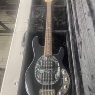 bassquestions