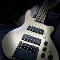 Bass Yatra
