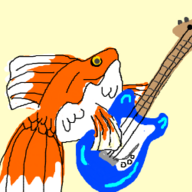 The Goldfish