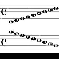Chris65bass