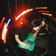 Paajanenae