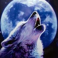 Fullmoon1971
