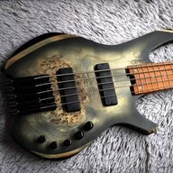 20basspilots