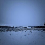 rasc2433