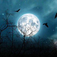 Manic Moonlight
