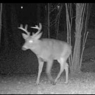 Nhbowhunter
