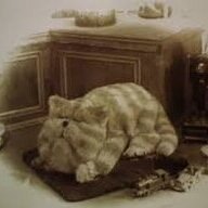 Bagpuss